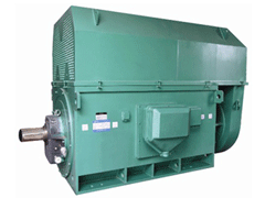 JR115-8Y系列6KV高压电机