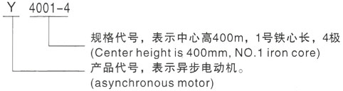 西安泰富西玛Y系列(H355-1000)高压JR115-8三相异步电机型号说明