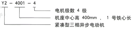 YR系列(H355-1000)高压JR115-8三相异步电机西安西玛电机型号说明